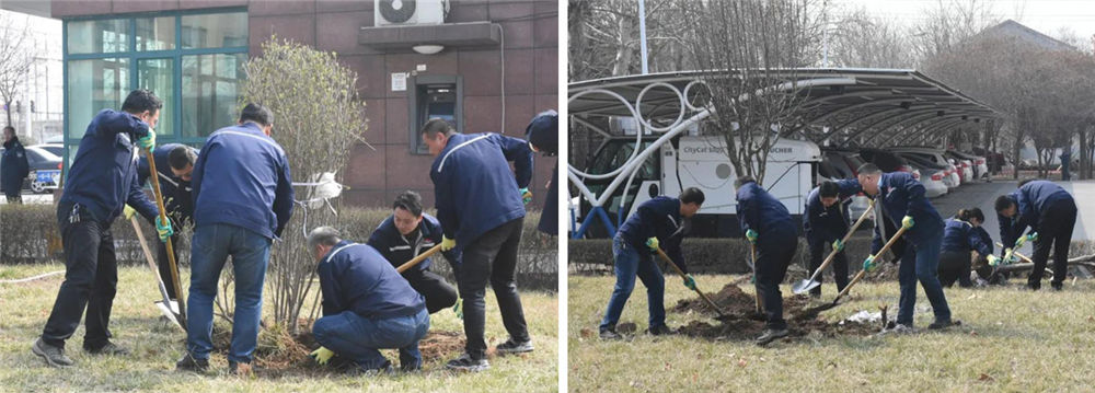 1617846135655158.jpg 1617846135655158.jpg